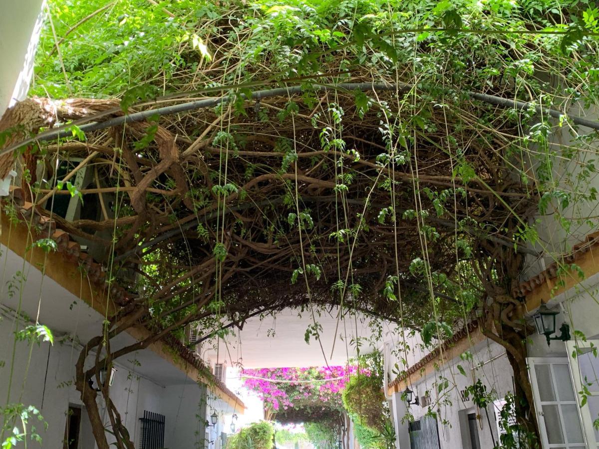 Hotel Antonio Conil โกนิล เด ลาฟรอนเตรา ภายนอก รูปภาพ